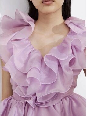 & Other Stories Lilac Peplum Halter Top with Ruffles NWT